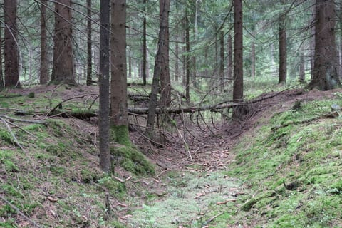 Stará cesta do Počátků