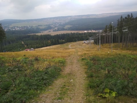 Výhled z Plešivce
