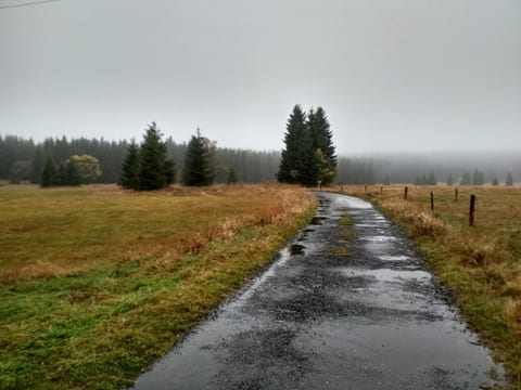 Cesta z Přebuze
