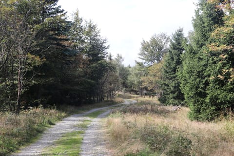 Pivní cesta (Bierweg)
