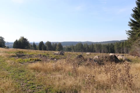 U Kostelní cesty