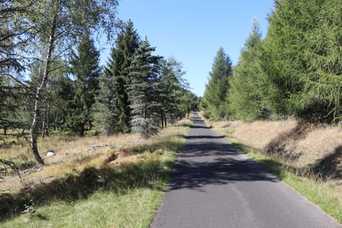 Volárenská silnice