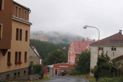 Plešivec v mlze z Abertam