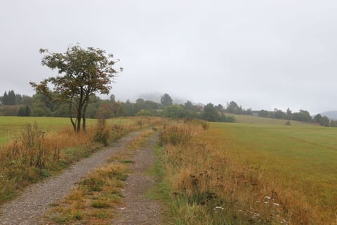 Cesta z Abertam